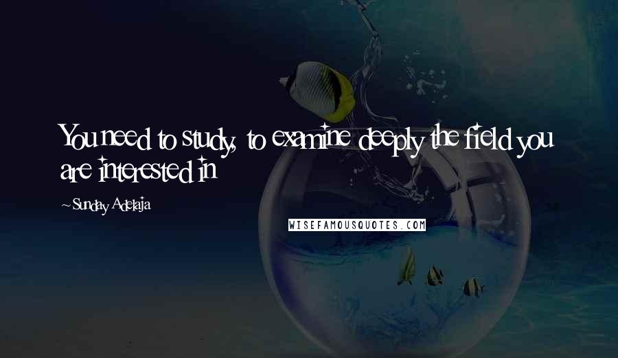 Sunday Adelaja Quotes: You need to study, to examine deeply the field you are interested in