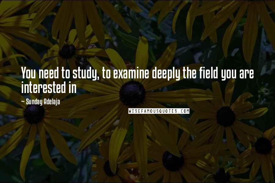 Sunday Adelaja Quotes: You need to study, to examine deeply the field you are interested in