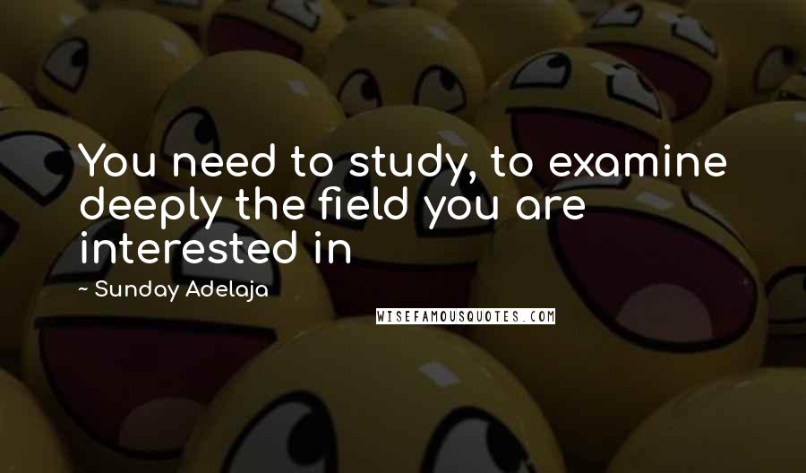 Sunday Adelaja Quotes: You need to study, to examine deeply the field you are interested in
