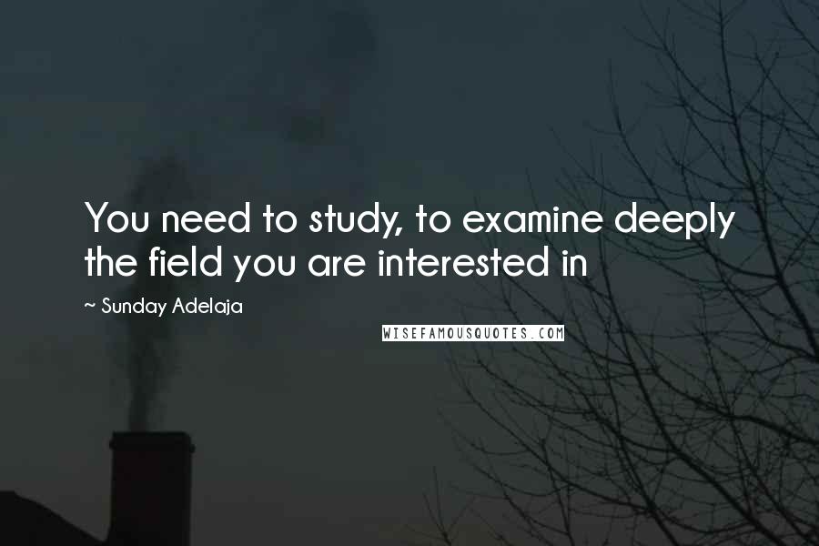 Sunday Adelaja Quotes: You need to study, to examine deeply the field you are interested in