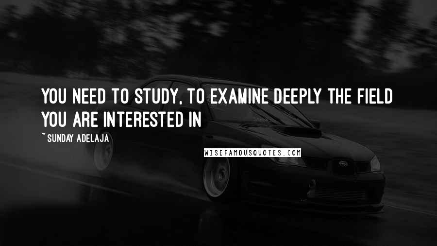 Sunday Adelaja Quotes: You need to study, to examine deeply the field you are interested in