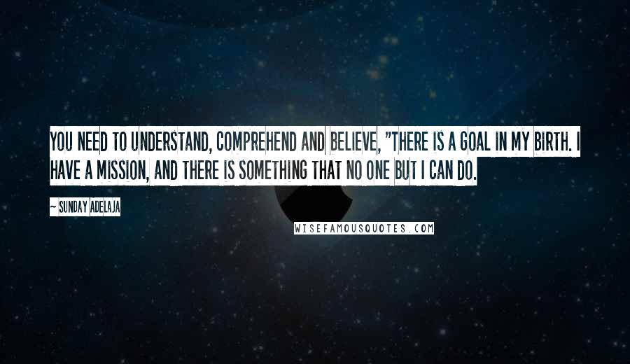 Sunday Adelaja Quotes: You need to understand, comprehend and believe, "There is a goal in my birth. I have a mission, and there is something that no one but I can do.