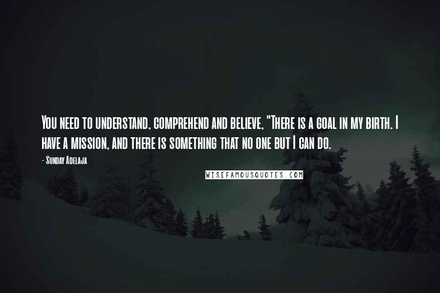 Sunday Adelaja Quotes: You need to understand, comprehend and believe, "There is a goal in my birth. I have a mission, and there is something that no one but I can do.