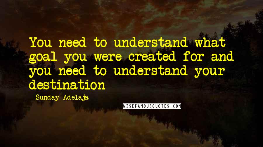 Sunday Adelaja Quotes: You need to understand what goal you were created for and you need to understand your destination