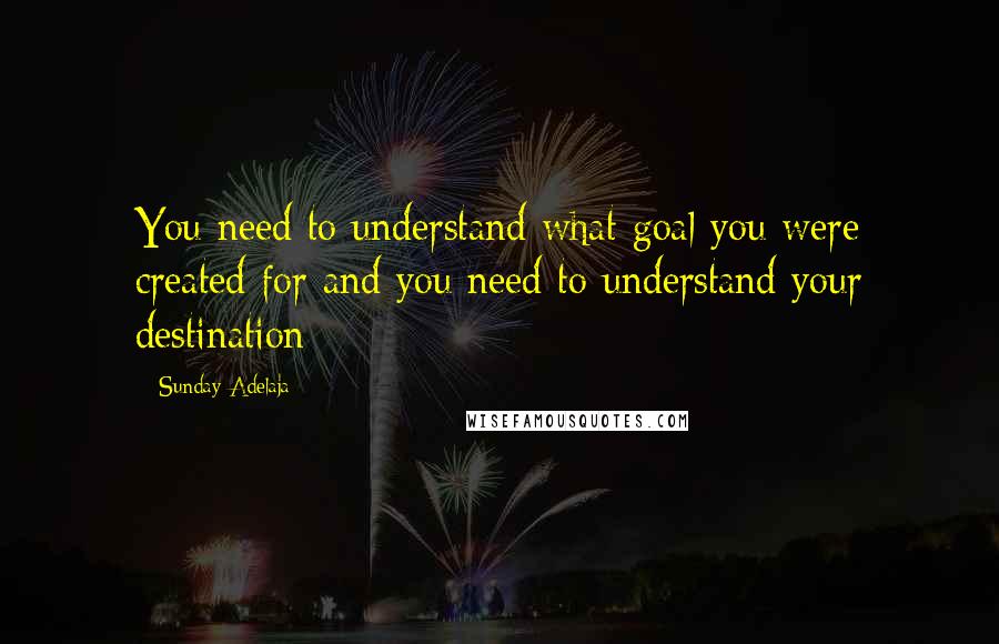 Sunday Adelaja Quotes: You need to understand what goal you were created for and you need to understand your destination