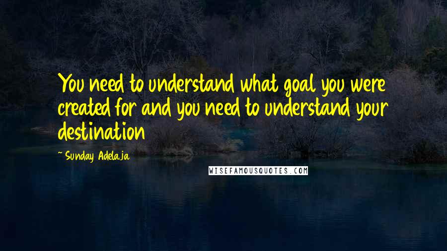 Sunday Adelaja Quotes: You need to understand what goal you were created for and you need to understand your destination