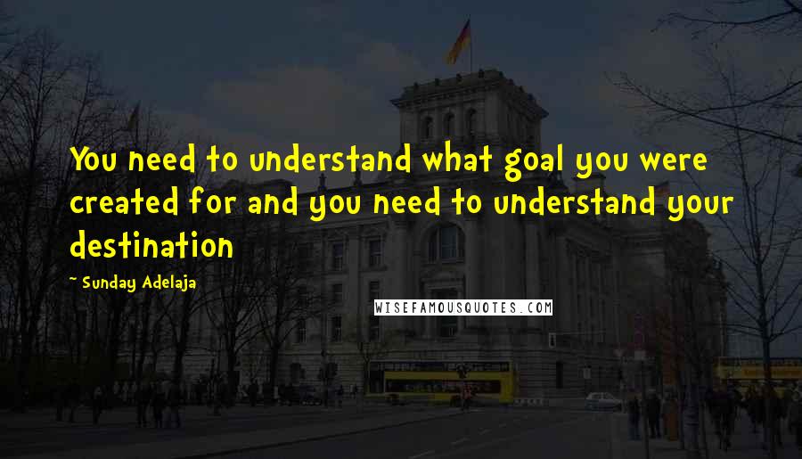 Sunday Adelaja Quotes: You need to understand what goal you were created for and you need to understand your destination