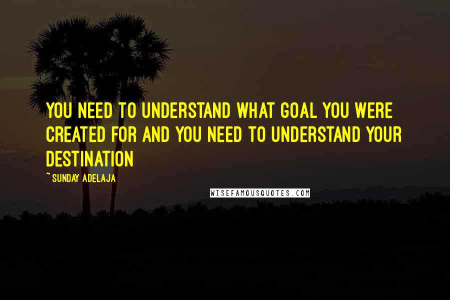 Sunday Adelaja Quotes: You need to understand what goal you were created for and you need to understand your destination