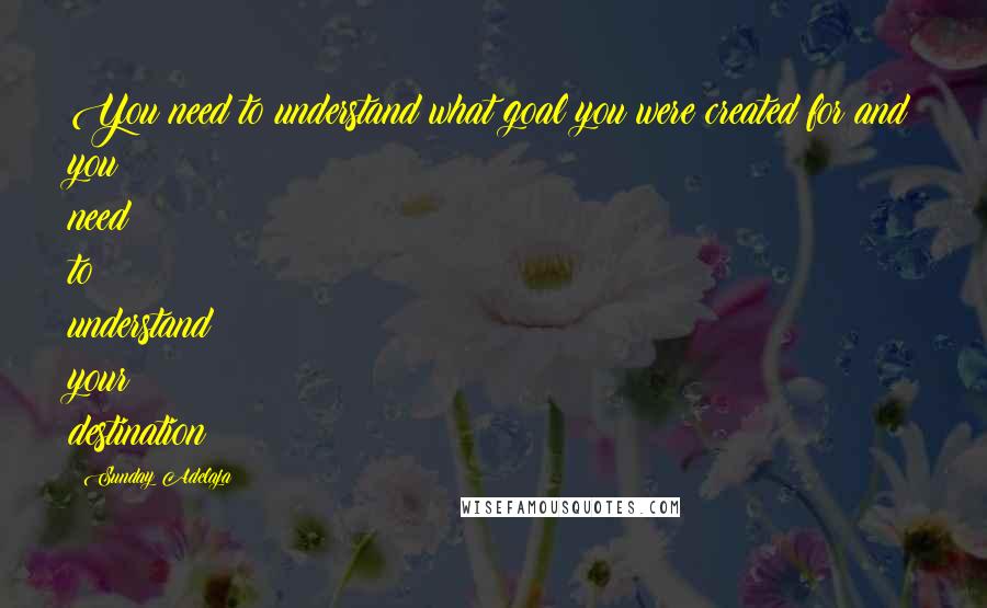 Sunday Adelaja Quotes: You need to understand what goal you were created for and you need to understand your destination