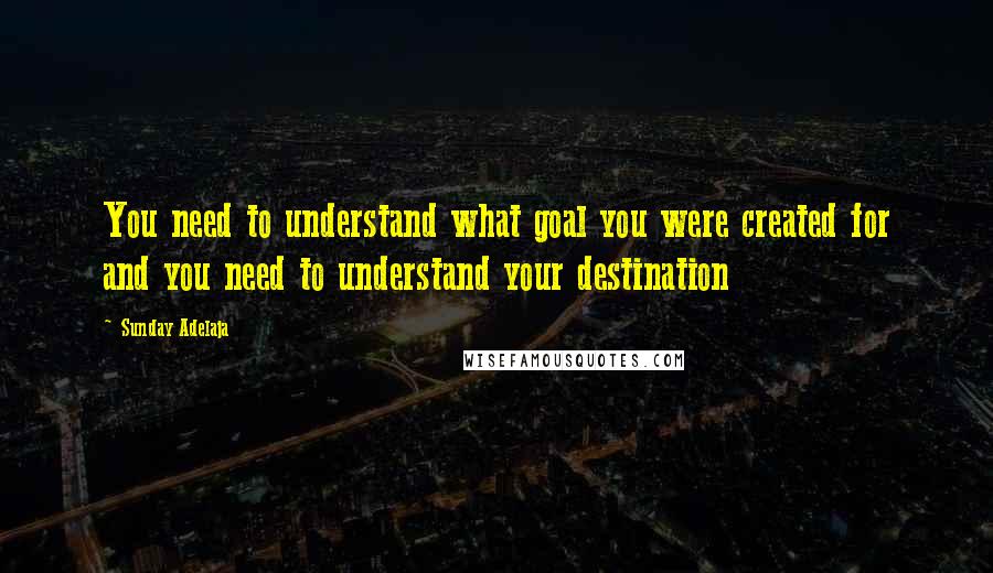 Sunday Adelaja Quotes: You need to understand what goal you were created for and you need to understand your destination
