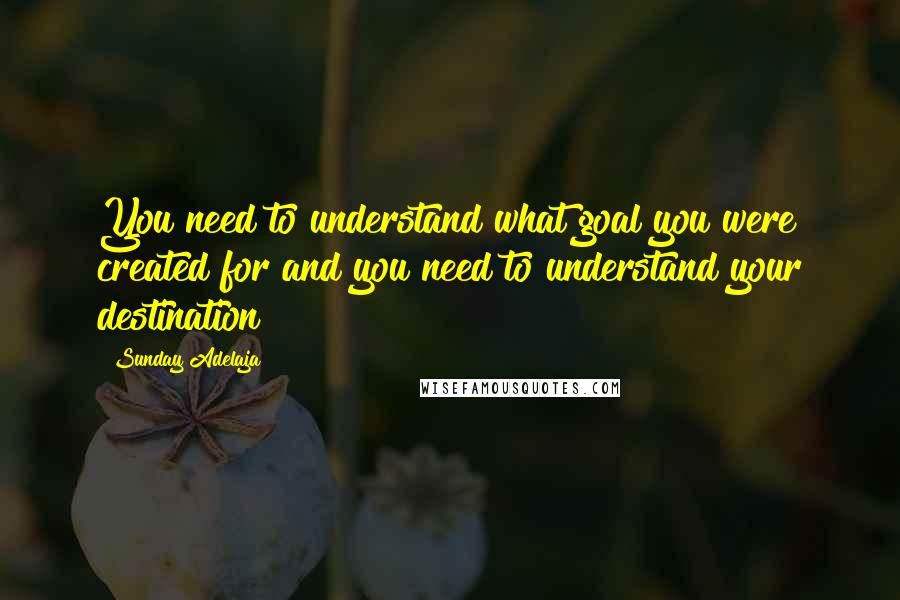 Sunday Adelaja Quotes: You need to understand what goal you were created for and you need to understand your destination