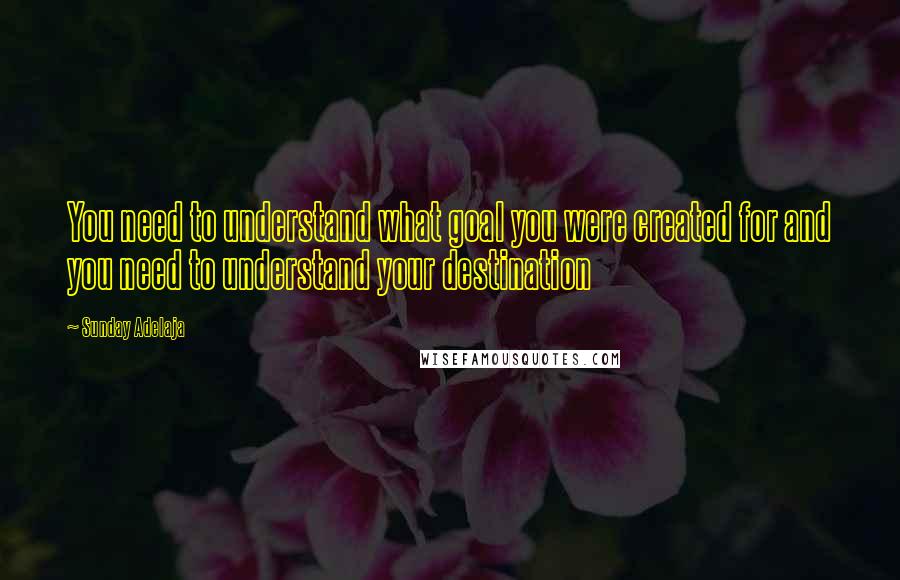 Sunday Adelaja Quotes: You need to understand what goal you were created for and you need to understand your destination