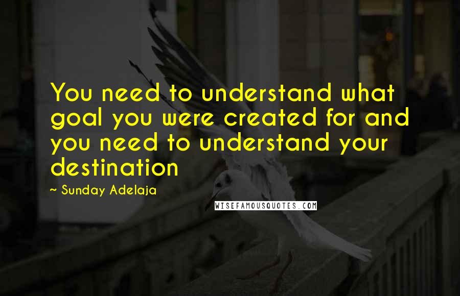 Sunday Adelaja Quotes: You need to understand what goal you were created for and you need to understand your destination