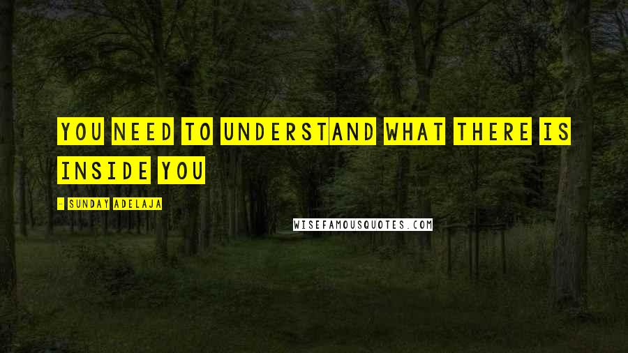 Sunday Adelaja Quotes: You need to understand what there is inside you