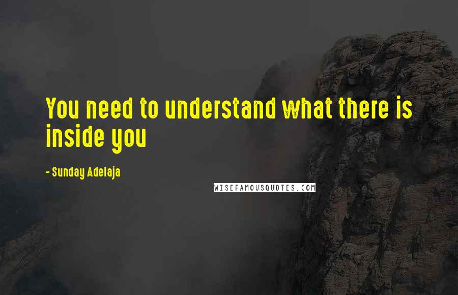 Sunday Adelaja Quotes: You need to understand what there is inside you