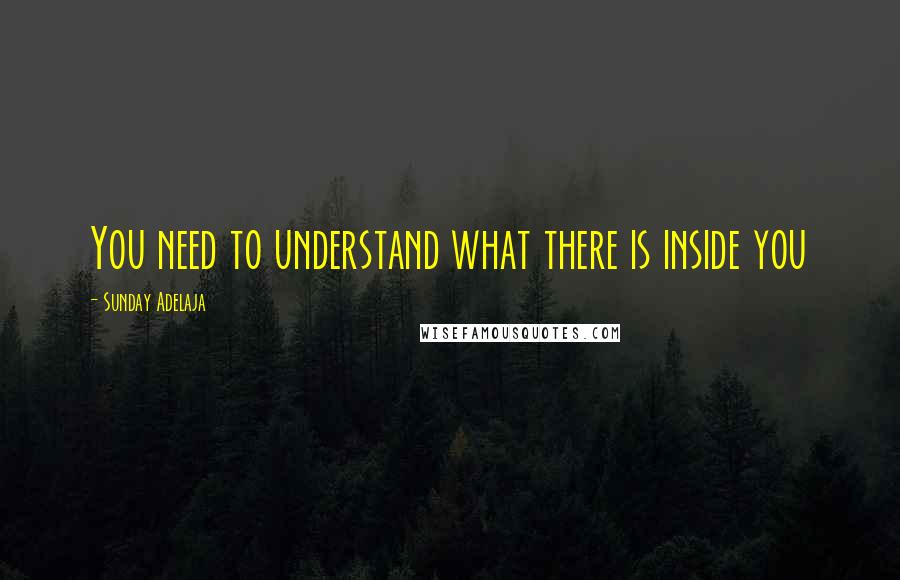 Sunday Adelaja Quotes: You need to understand what there is inside you