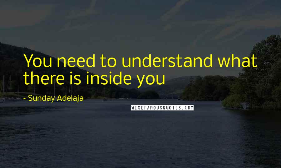 Sunday Adelaja Quotes: You need to understand what there is inside you