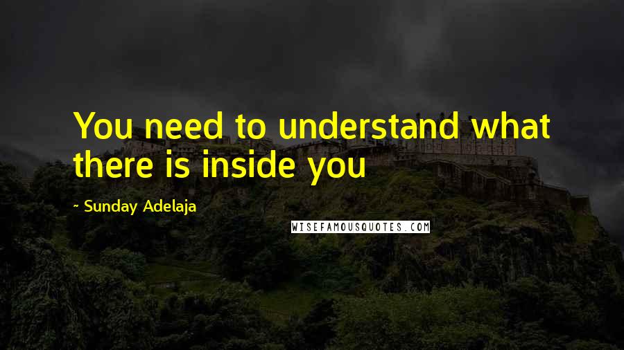 Sunday Adelaja Quotes: You need to understand what there is inside you