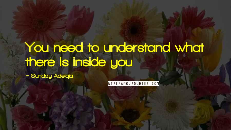 Sunday Adelaja Quotes: You need to understand what there is inside you