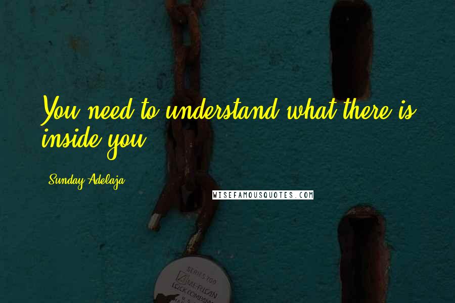 Sunday Adelaja Quotes: You need to understand what there is inside you