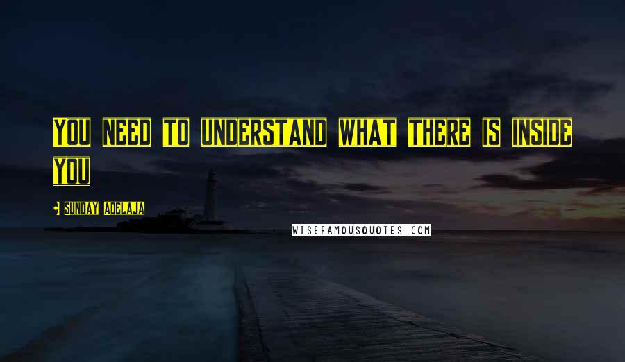 Sunday Adelaja Quotes: You need to understand what there is inside you