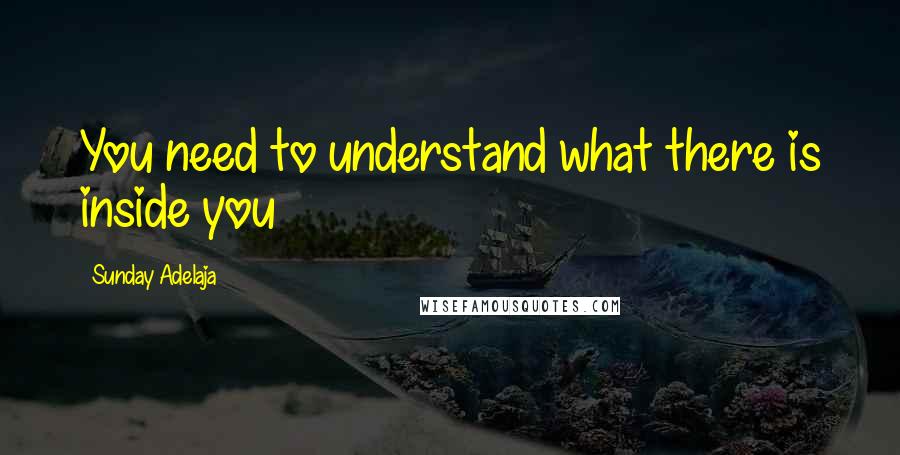 Sunday Adelaja Quotes: You need to understand what there is inside you