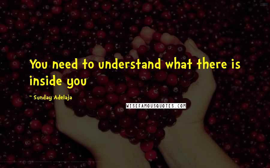 Sunday Adelaja Quotes: You need to understand what there is inside you