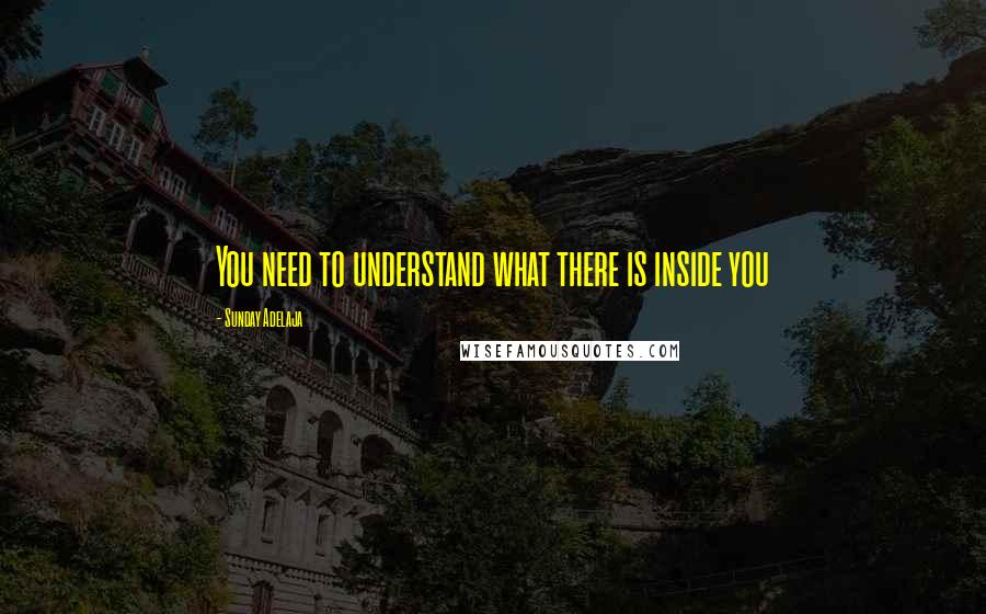 Sunday Adelaja Quotes: You need to understand what there is inside you