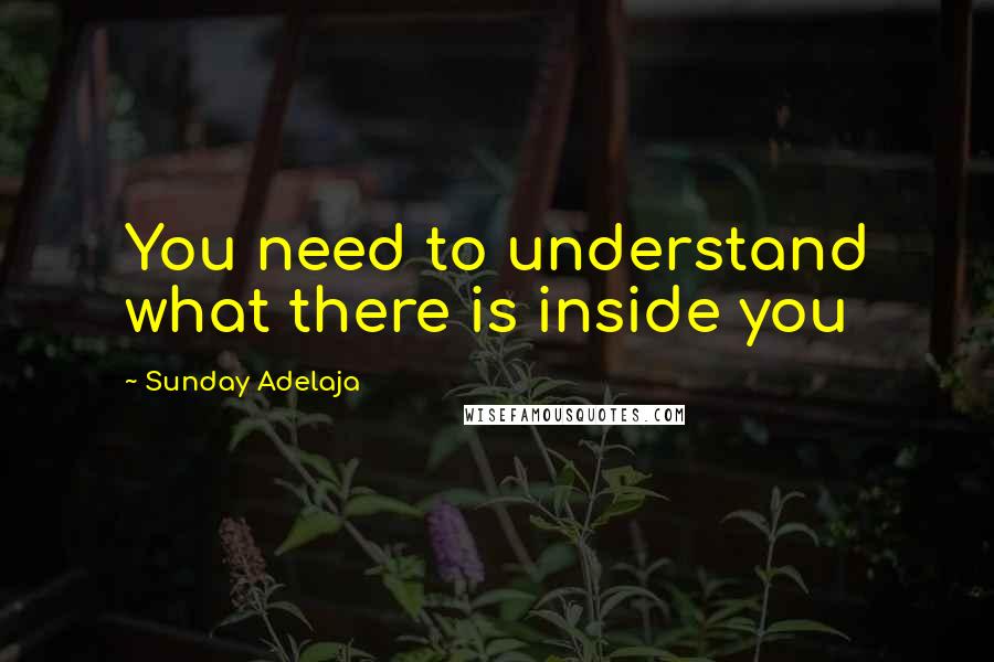 Sunday Adelaja Quotes: You need to understand what there is inside you