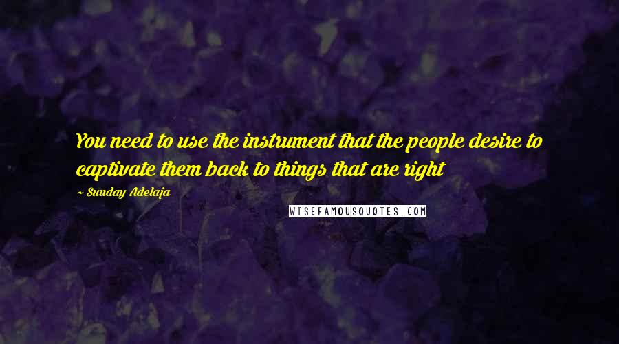 Sunday Adelaja Quotes: You need to use the instrument that the people desire to captivate them back to things that are right