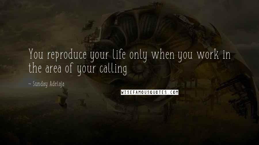 Sunday Adelaja Quotes: You reproduce your life only when you work in the area of your calling