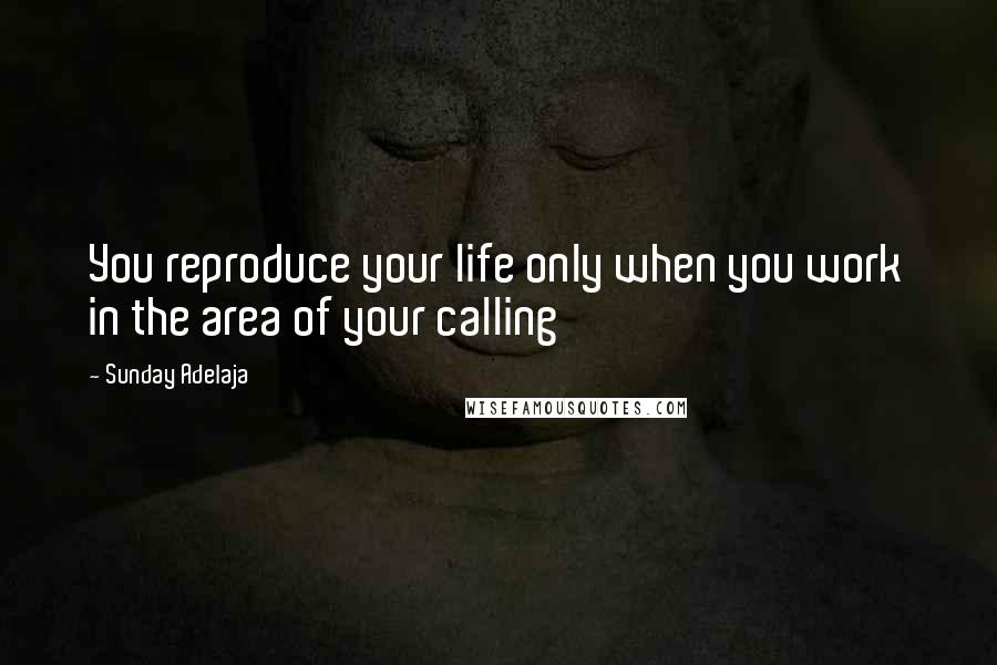 Sunday Adelaja Quotes: You reproduce your life only when you work in the area of your calling