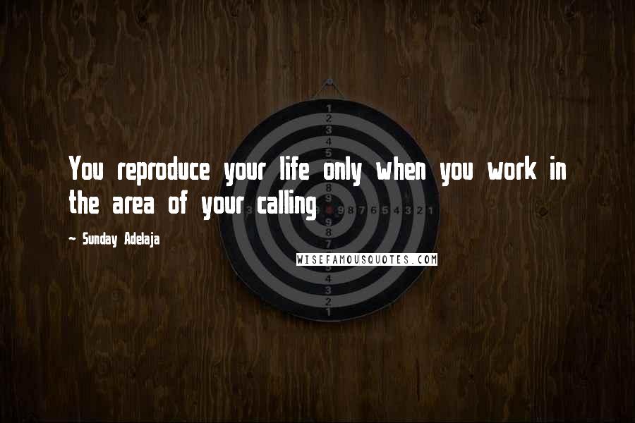 Sunday Adelaja Quotes: You reproduce your life only when you work in the area of your calling