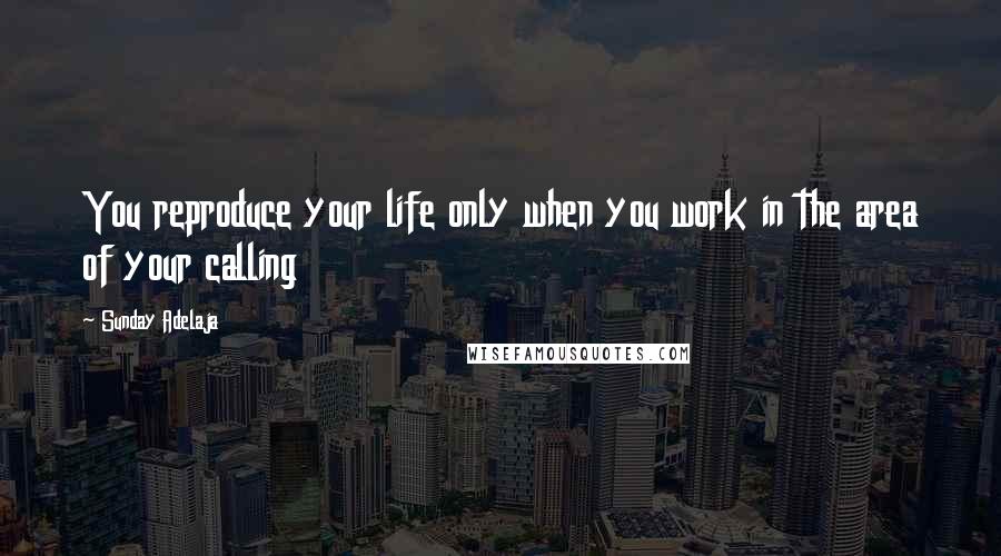 Sunday Adelaja Quotes: You reproduce your life only when you work in the area of your calling