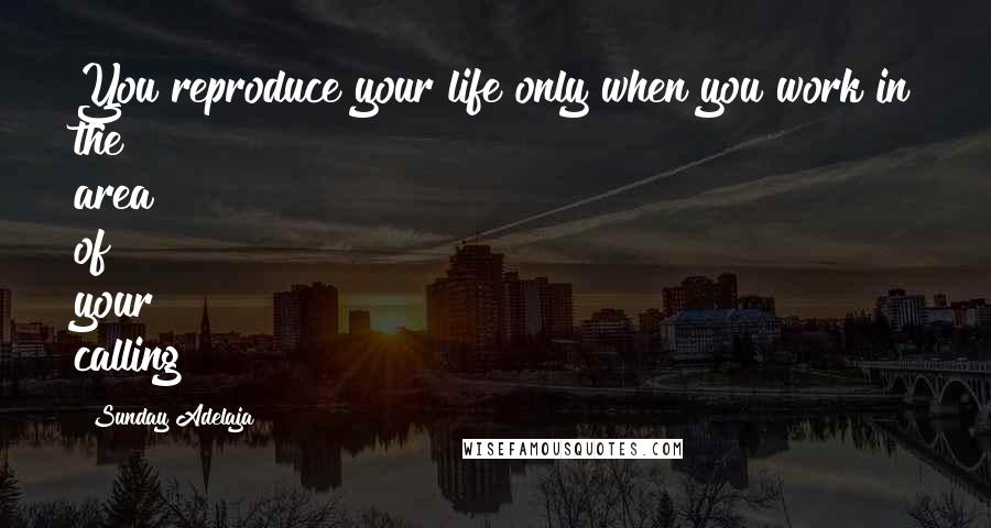 Sunday Adelaja Quotes: You reproduce your life only when you work in the area of your calling