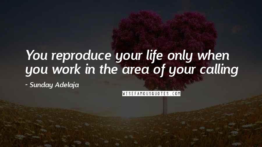 Sunday Adelaja Quotes: You reproduce your life only when you work in the area of your calling