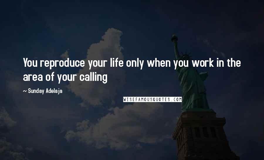 Sunday Adelaja Quotes: You reproduce your life only when you work in the area of your calling