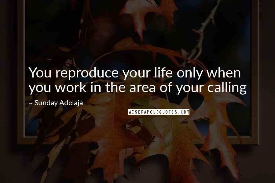 Sunday Adelaja Quotes: You reproduce your life only when you work in the area of your calling