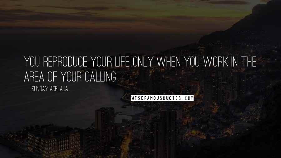 Sunday Adelaja Quotes: You reproduce your life only when you work in the area of your calling