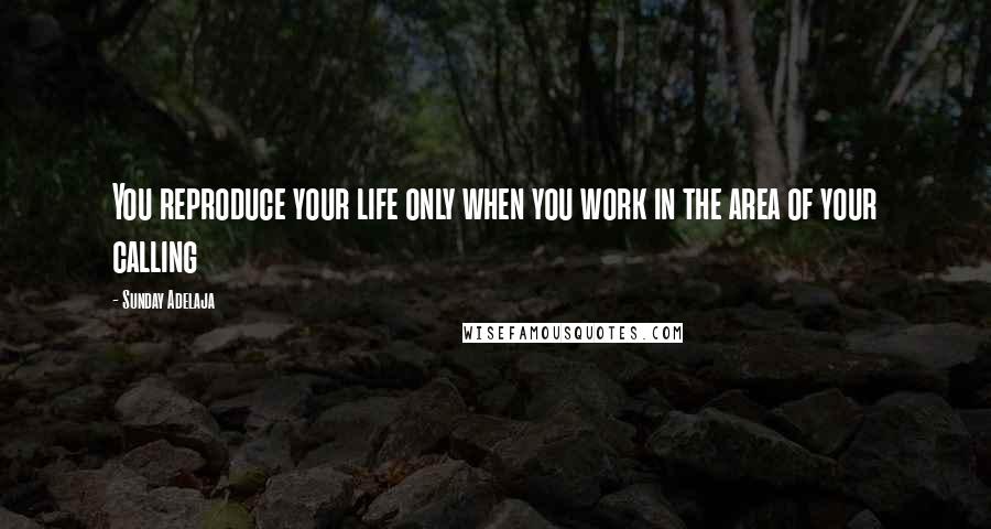 Sunday Adelaja Quotes: You reproduce your life only when you work in the area of your calling