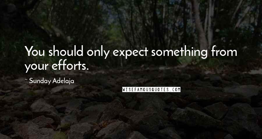 Sunday Adelaja Quotes: You should only expect something from your efforts.