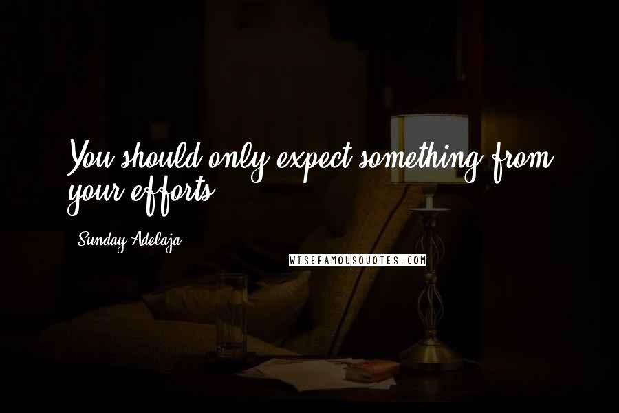 Sunday Adelaja Quotes: You should only expect something from your efforts.