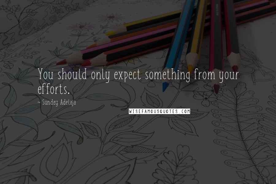 Sunday Adelaja Quotes: You should only expect something from your efforts.