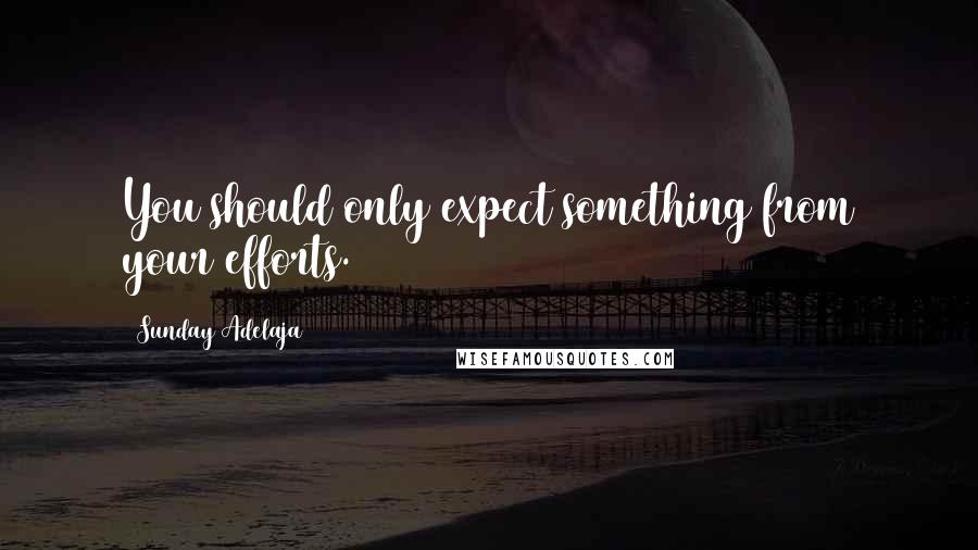 Sunday Adelaja Quotes: You should only expect something from your efforts.