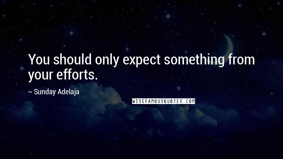 Sunday Adelaja Quotes: You should only expect something from your efforts.