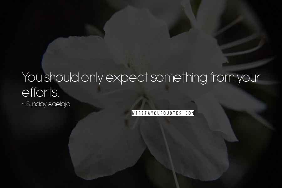 Sunday Adelaja Quotes: You should only expect something from your efforts.