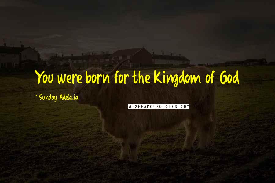 Sunday Adelaja Quotes: You were born for the Kingdom of God