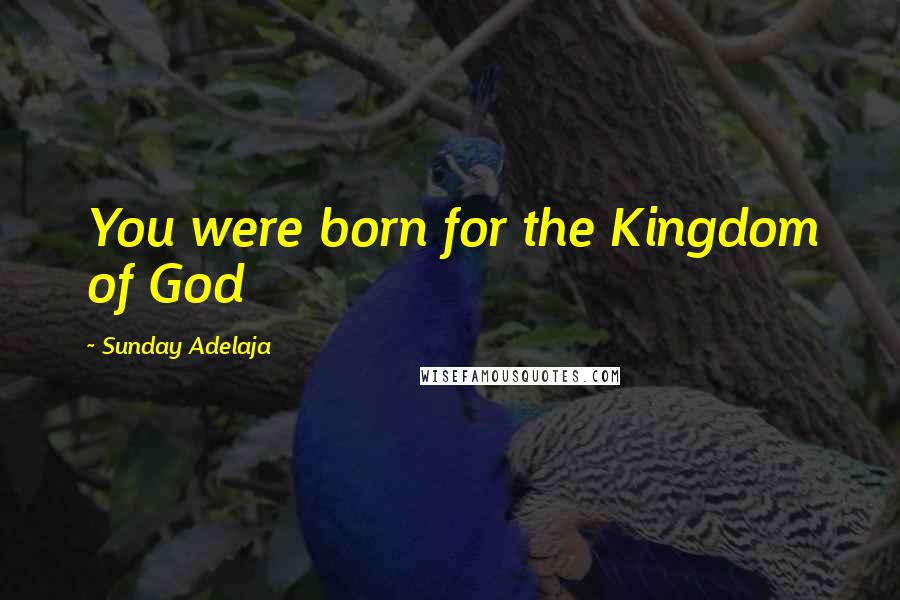 Sunday Adelaja Quotes: You were born for the Kingdom of God