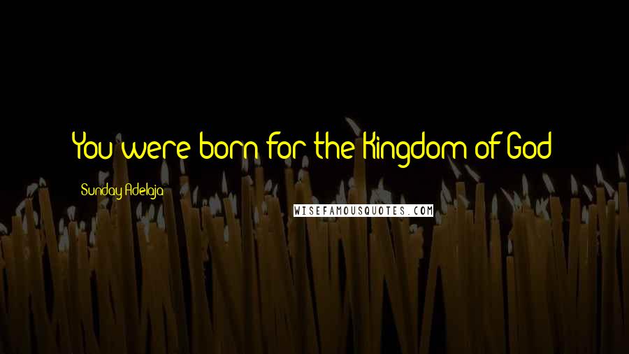 Sunday Adelaja Quotes: You were born for the Kingdom of God