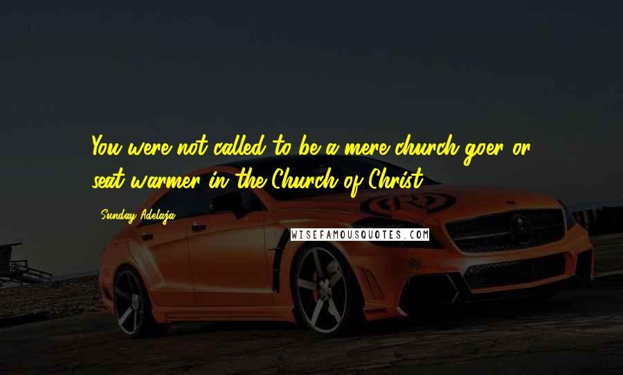 Sunday Adelaja Quotes: You were not called to be a mere church-goer or seat-warmer in the Church of Christ